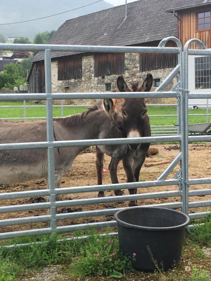 Bed and Breakfast Wengerwirt Zur Laube Weng im Gesause Exterior foto