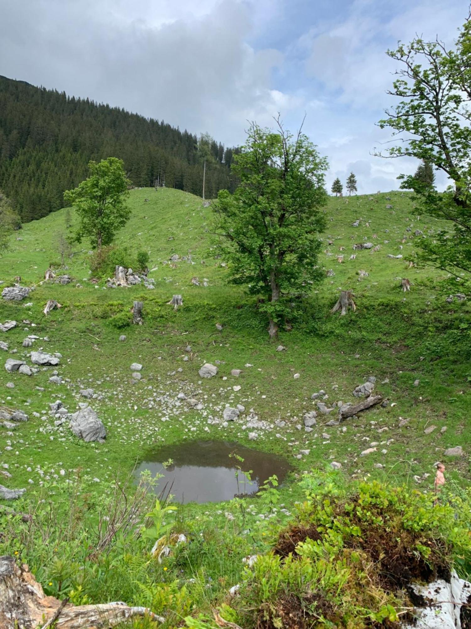 Bed and Breakfast Wengerwirt Zur Laube Weng im Gesause Exterior foto